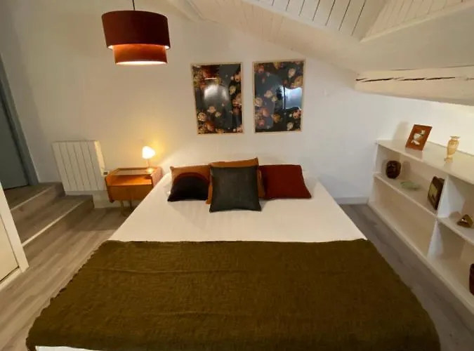 Les Cosy De - Le Duplex Vintage 4* Апартаменты Нанси