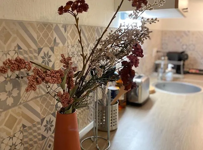 Апартаменты Les Cosy De - Le Duplex Vintage 4* Нанси